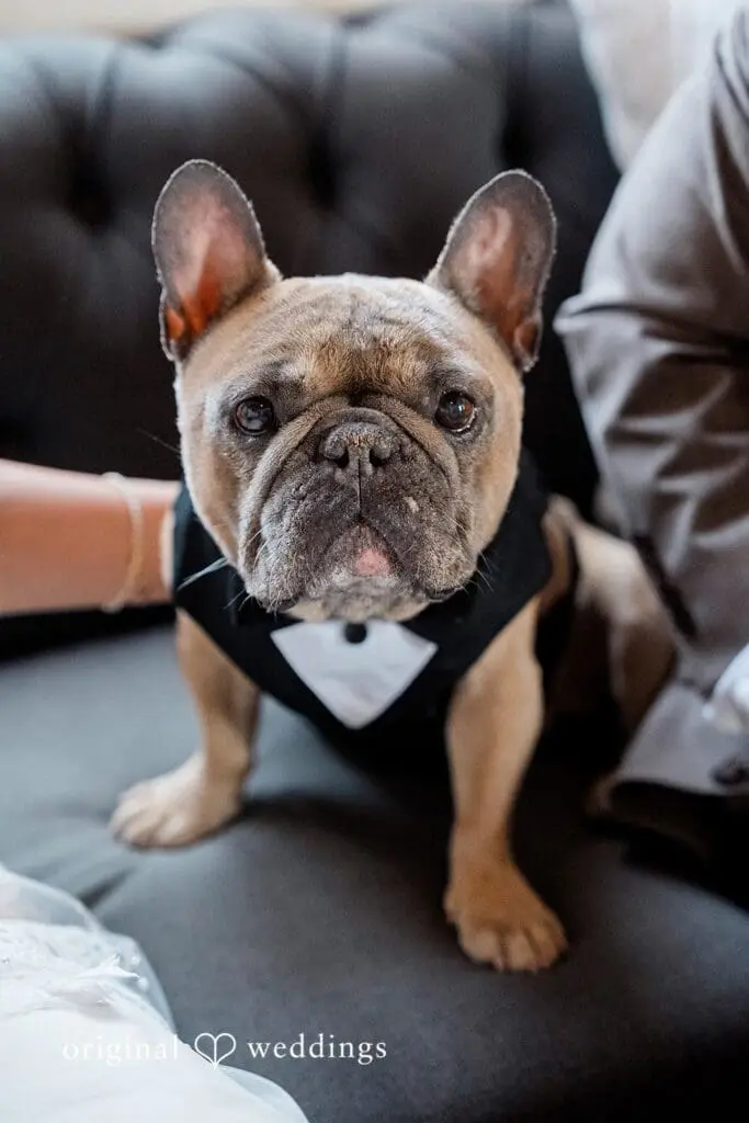 Rowena & John -