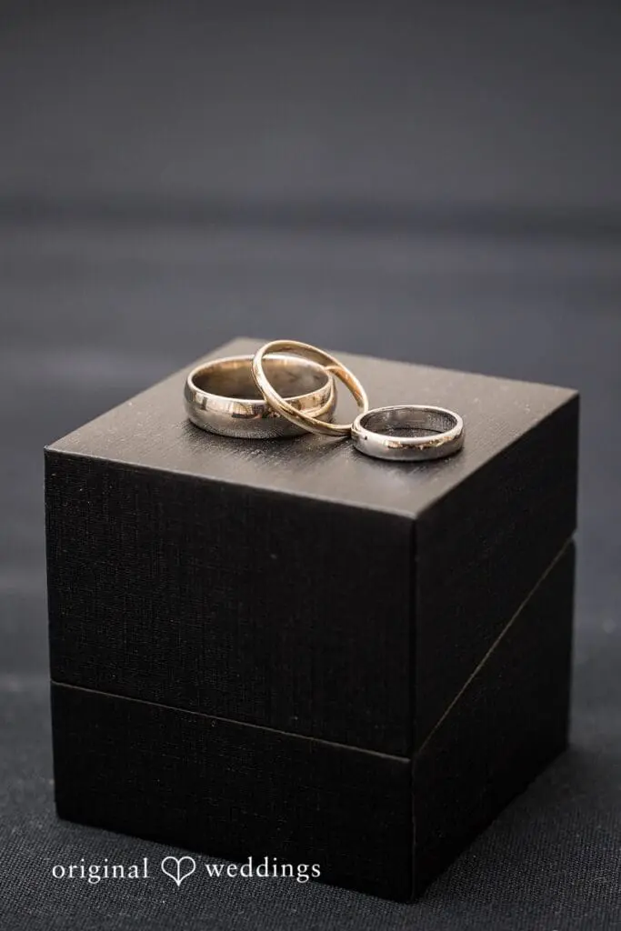 The Sirata Wedding // Meghan & Vincent -
