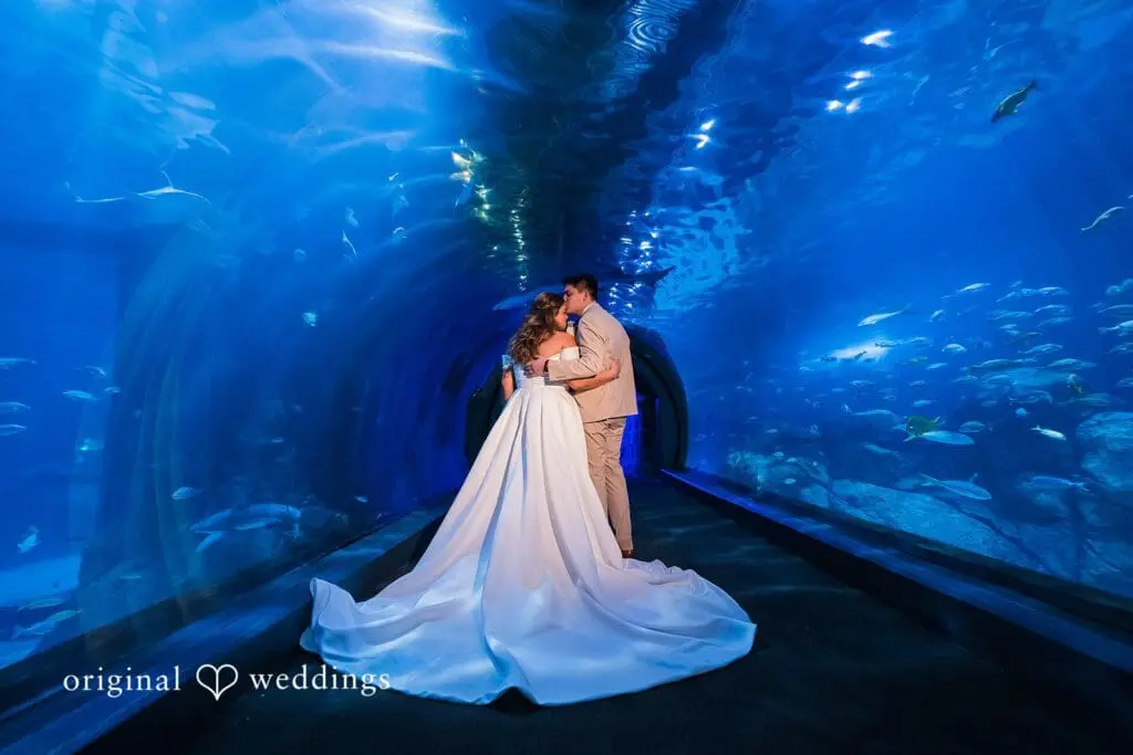Adventure Aquarium Wedding // Mikayla & Andre -