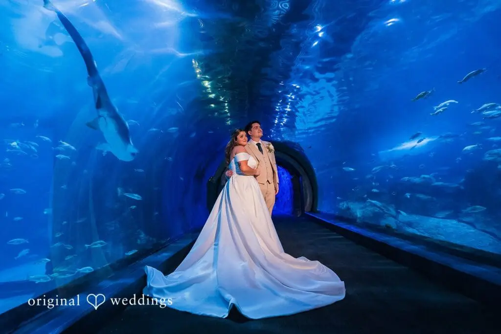 Adventure Aquarium Wedding // Mikayla & Andre -