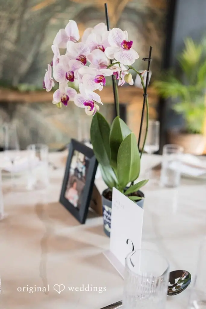 Lark Wedding // Douglas & Jose David -