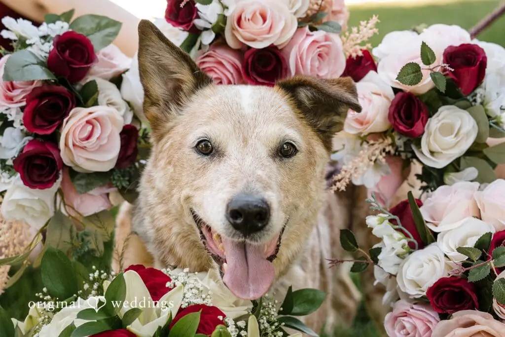 Southridge Rec Center Wedding // Alexa & Andrew -