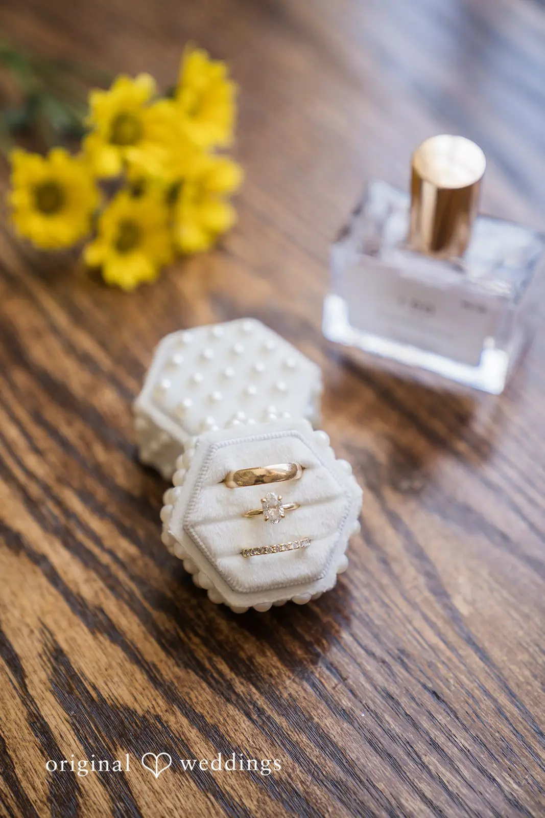 Rust Manor Wedding // Melanie & Aaron -