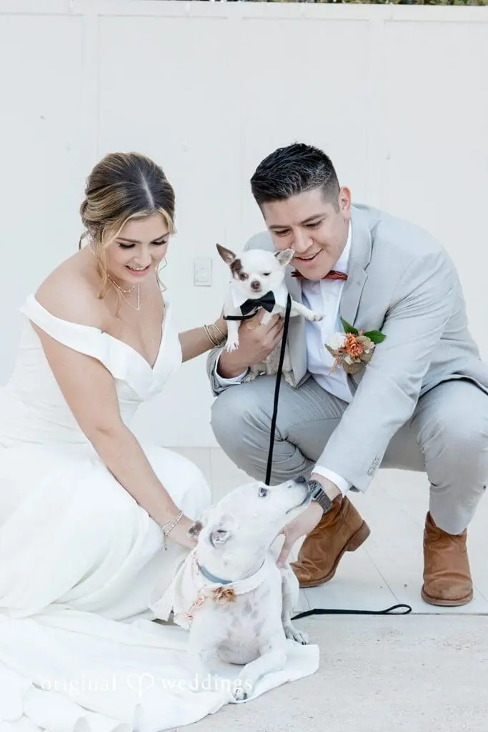 Best Austin Wedding Venues for Photography and Videography -
