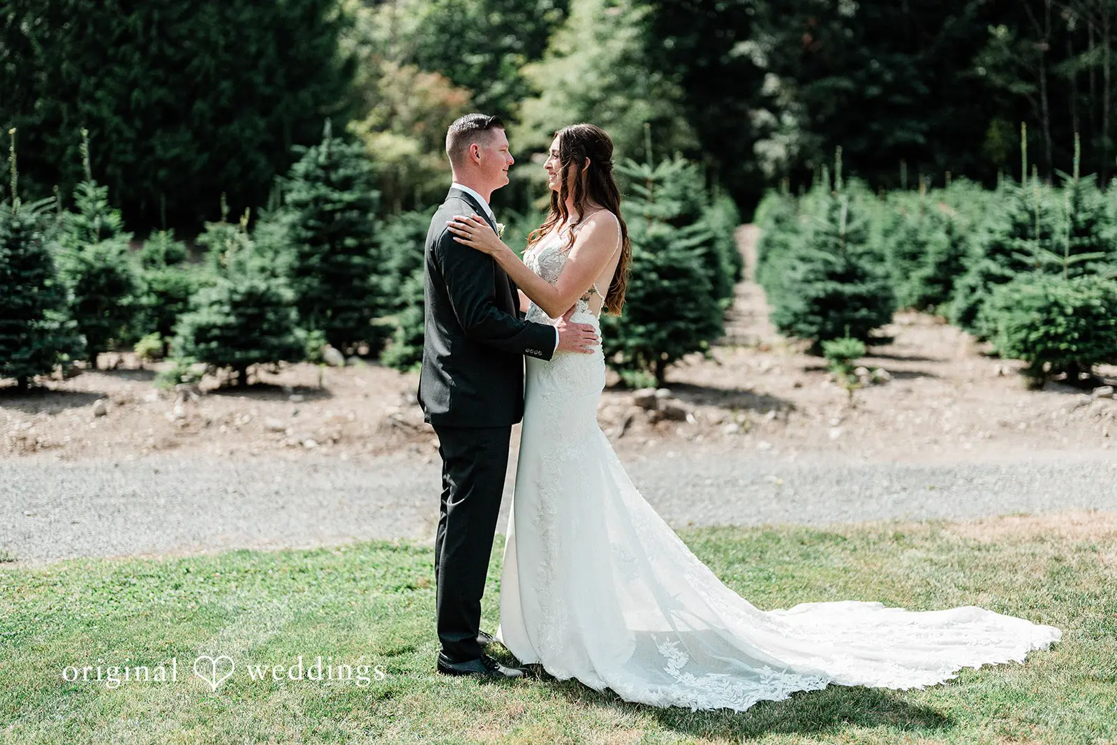 Trinity Tree Farm Wedding // Alyssa & Casey -