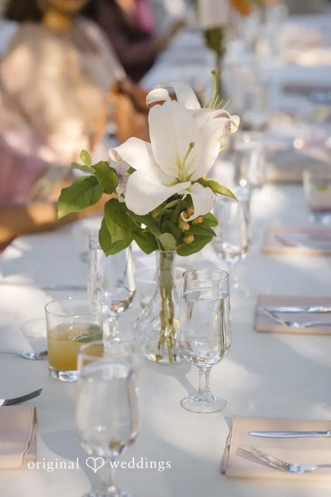 Deepthi + Schuyler UW Center for Urban Horticulture Wedding // Deepthi & Schuyler -