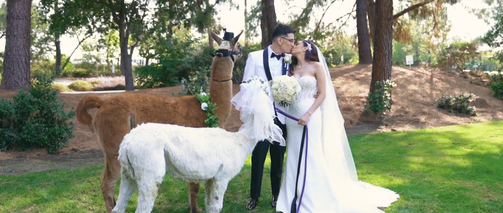 Perera Pavilion Wedding Video // Michael & Maria 23 Perera Pavilion Wedding Video // Michael & Maria -