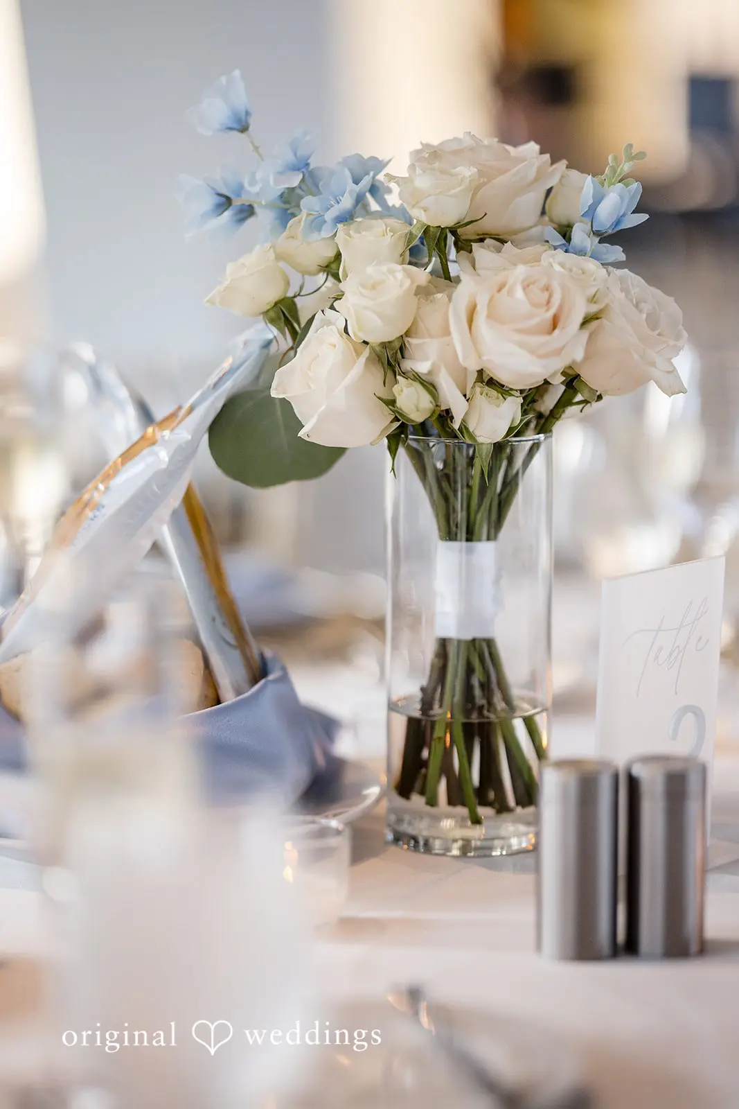 W Lakeshore Chicago Wedding // Madison & Jack -