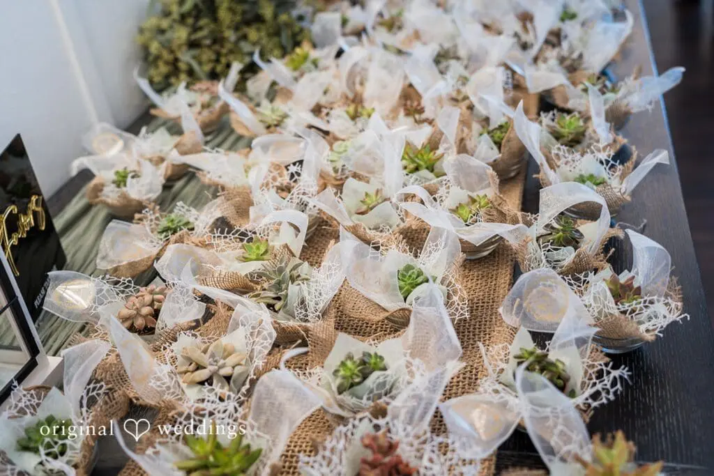 Ever After Farms Tropical Grove Wedding // Felix & Kristen -