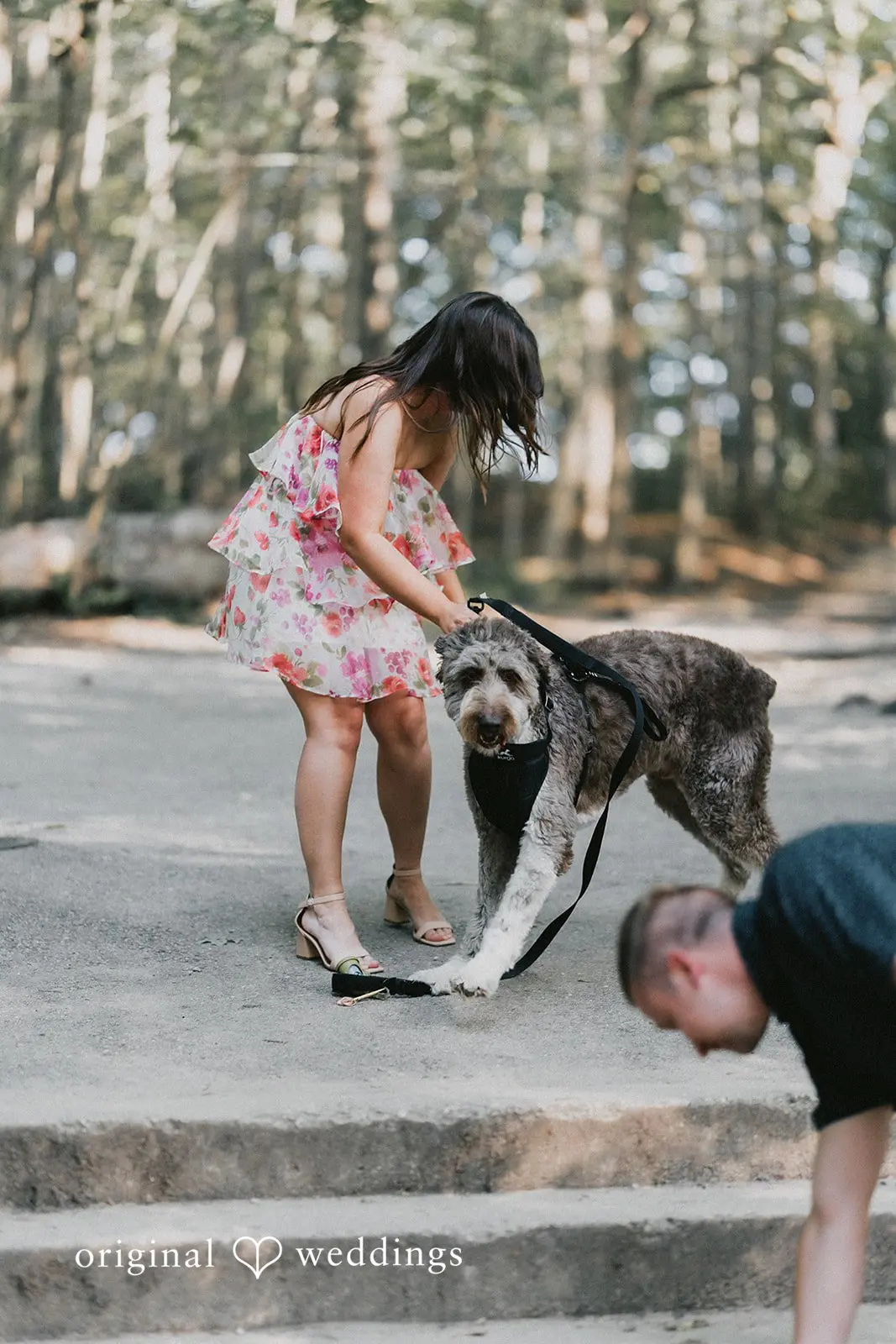 Joel + Kayla Seven Bridges Engagement // Joel & Kayla -
