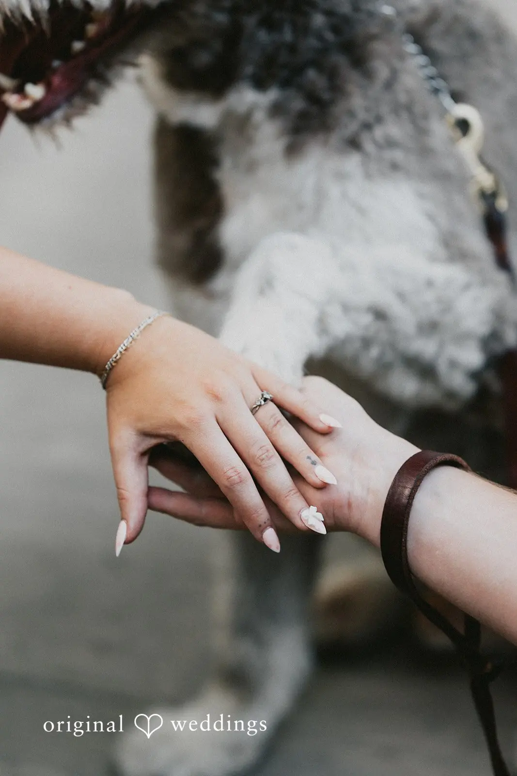 Joel + Kayla Seven Bridges Engagement // Joel & Kayla -