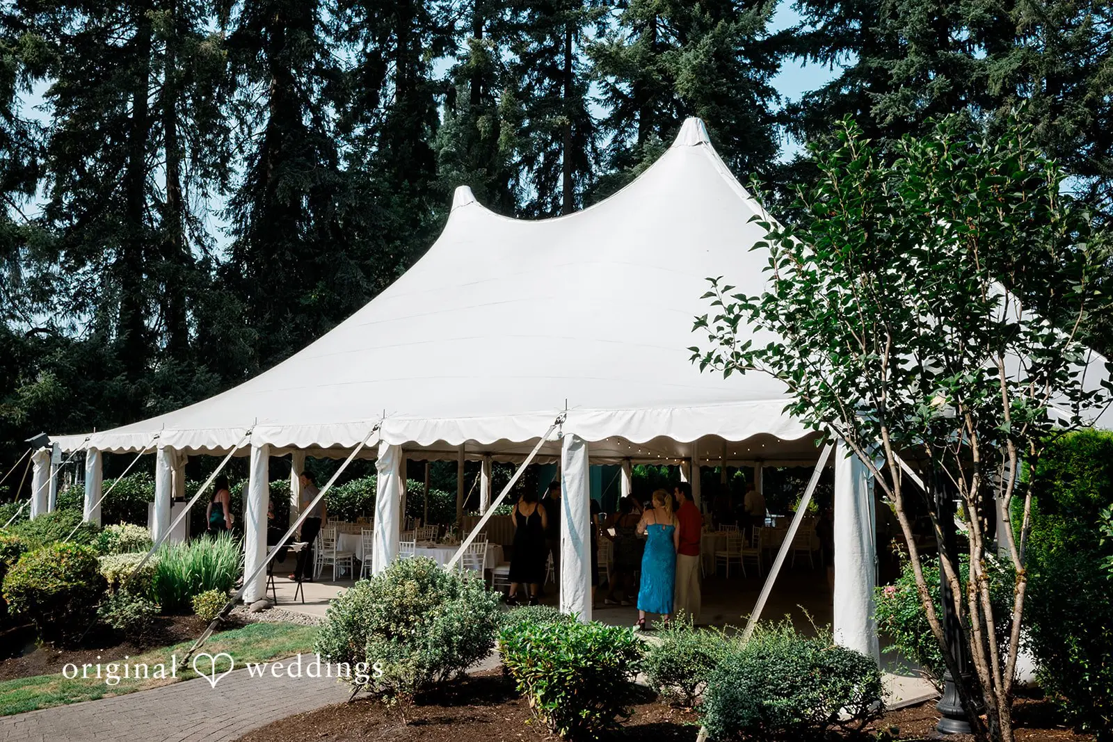 Abernethy Center Wedding // Sarah & Cameron -