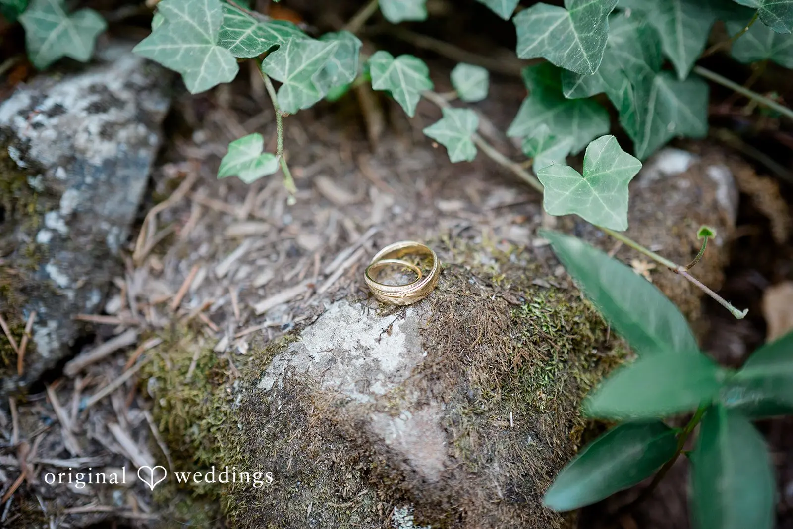 Abernethy Center Wedding // Sarah & Cameron -