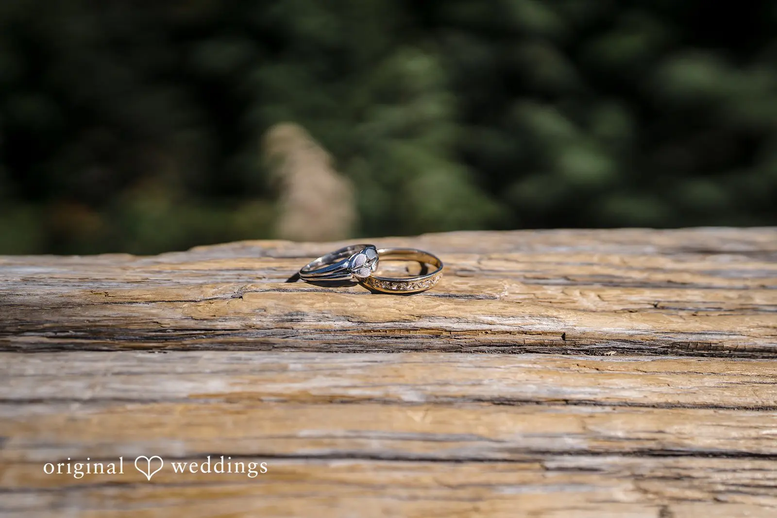 Desirae + Keegan Ambassador Event Center Wedding // Desirae & Keegan -