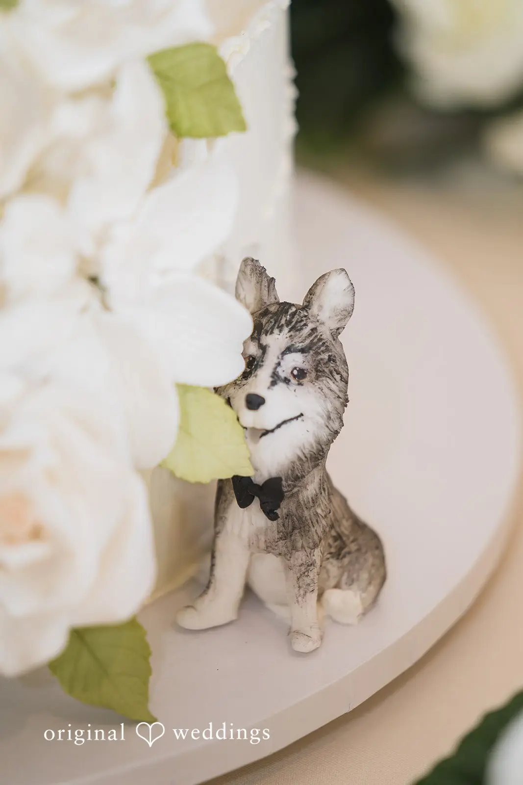 Army Navy Country Club Arlington Wedding // Justine & Taylor -
