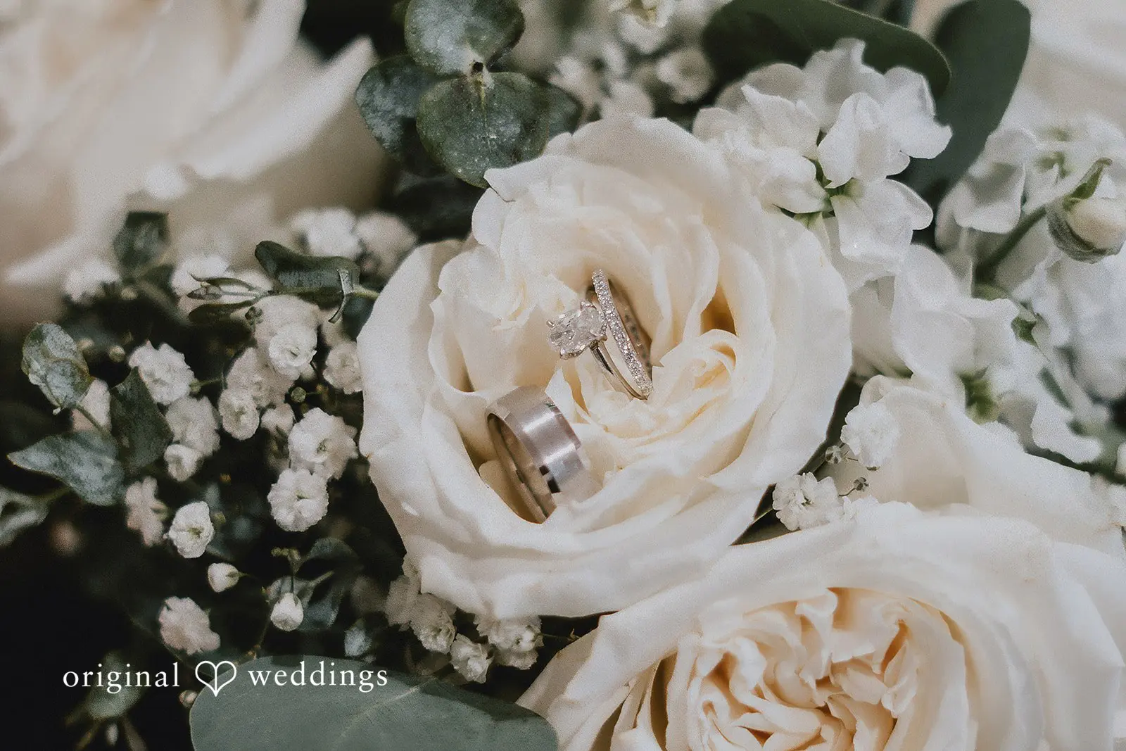 Brooklyn + Justin Aurora Meadows Wedding // Brooklyn & Justin -