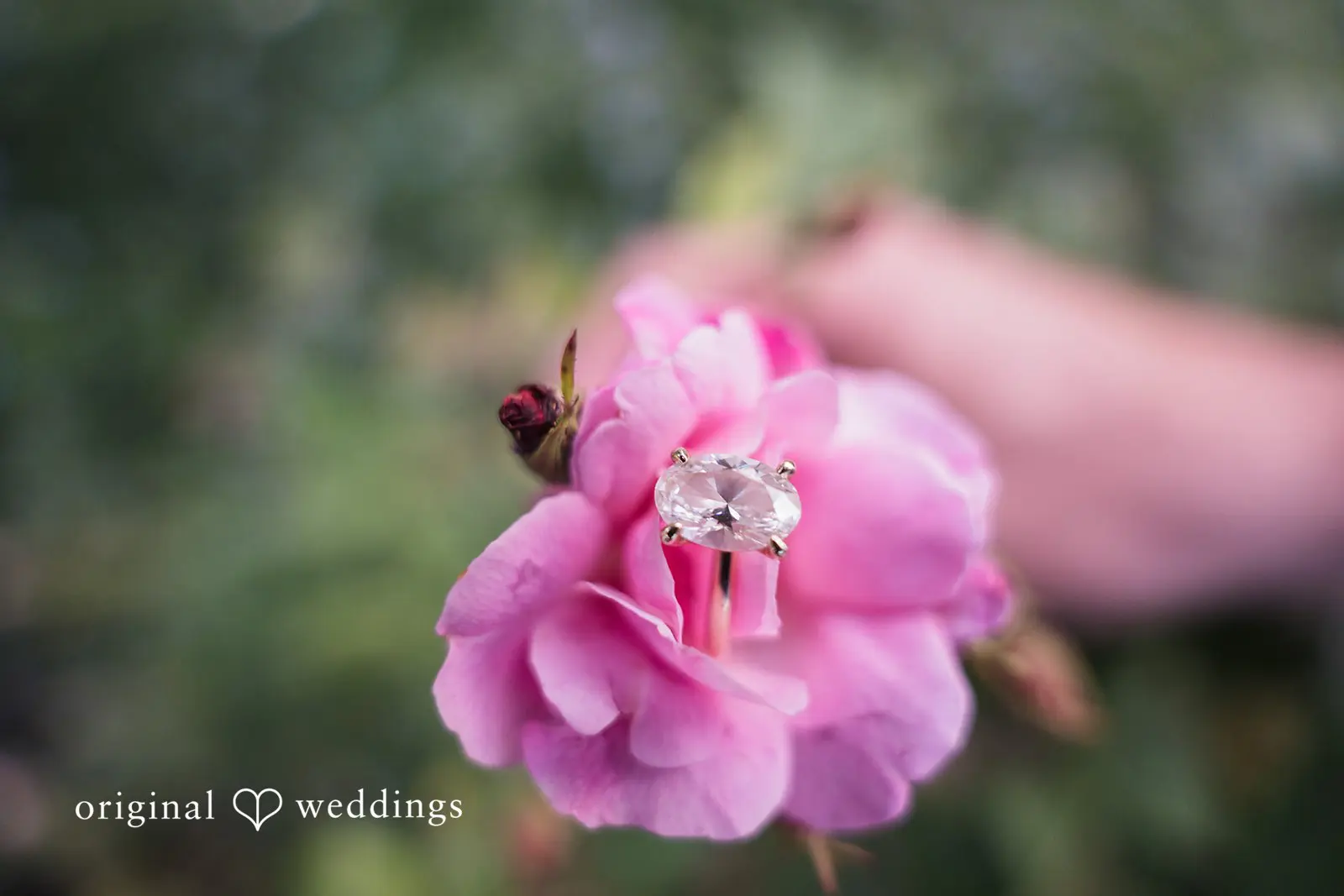 Bartram's Garden Engagement // Timothy & Mikala -