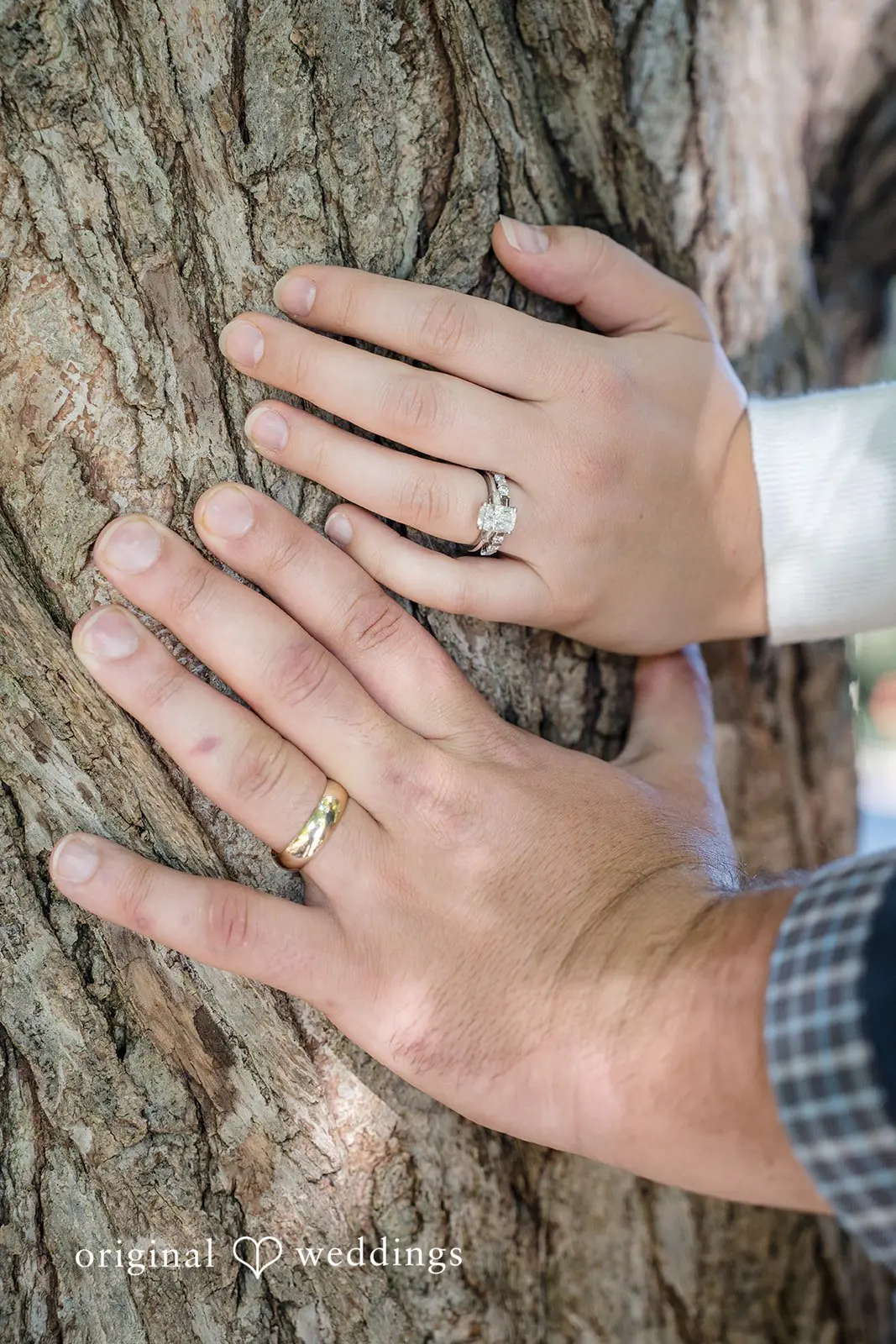 Jeff + Marin Boston Public Gardens Engagement // Jeff & Marin -
