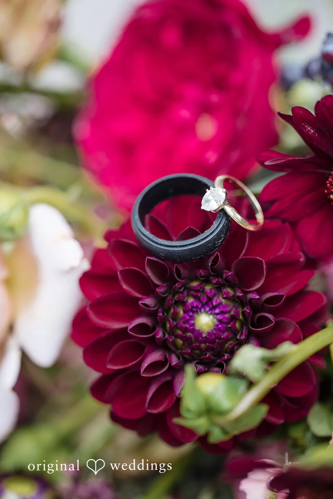 Briarwood Estates Wedding // Raeann & Matthew -