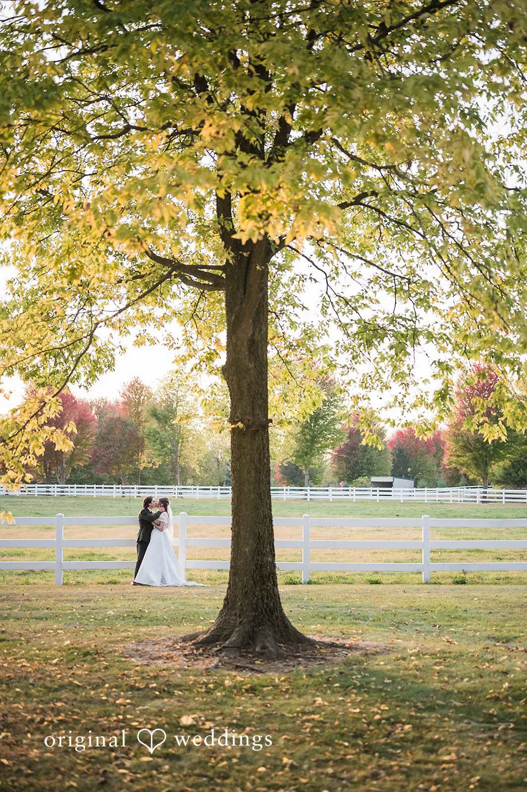 Sjalynn + Tim BrighterDaze Farm Wedding // Sjalynn & Tim -