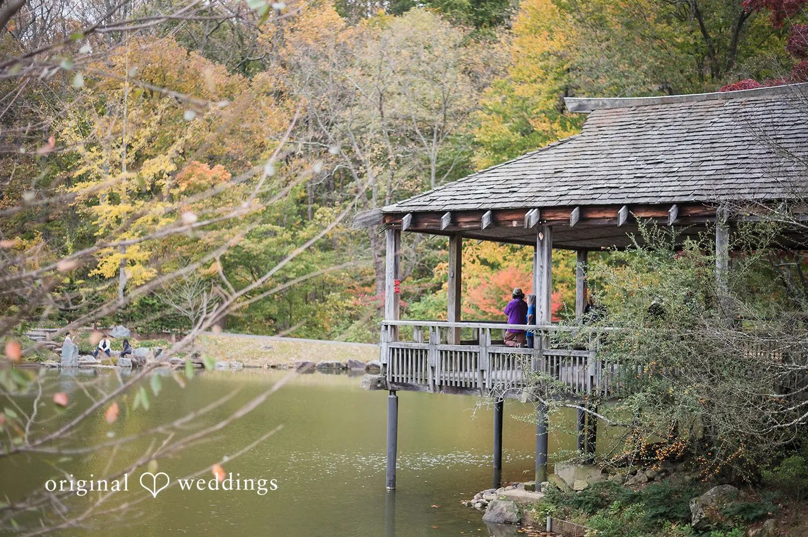 Nicole + Dorian Brookside Gardens Wedding // Nicole & Dorian -