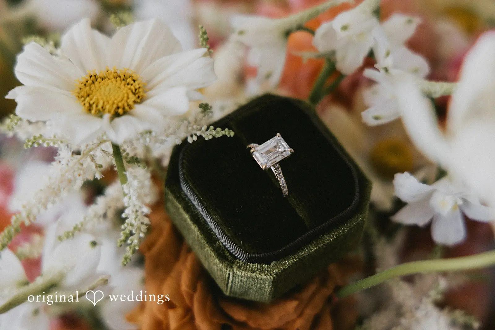 Alicia + Kyle California Backyard Wedding // Alicia & Kyle -