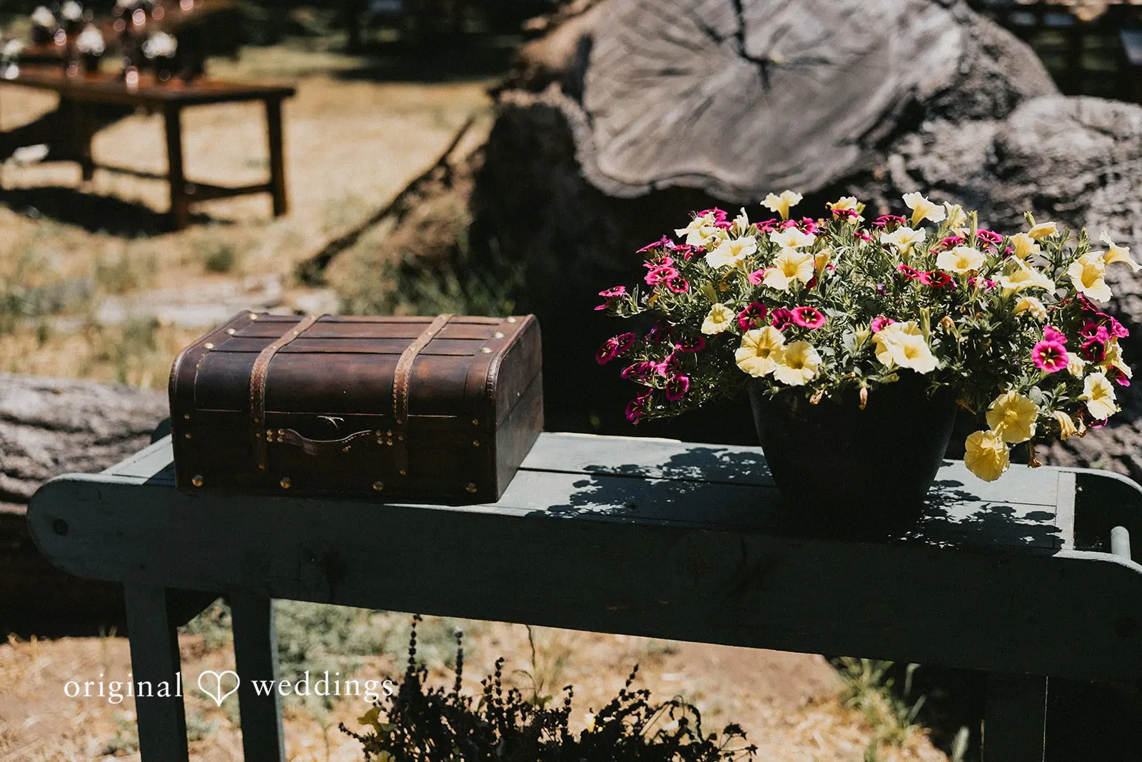 Susanna + Frank California Backyard Wedding // Susanna & Frank -