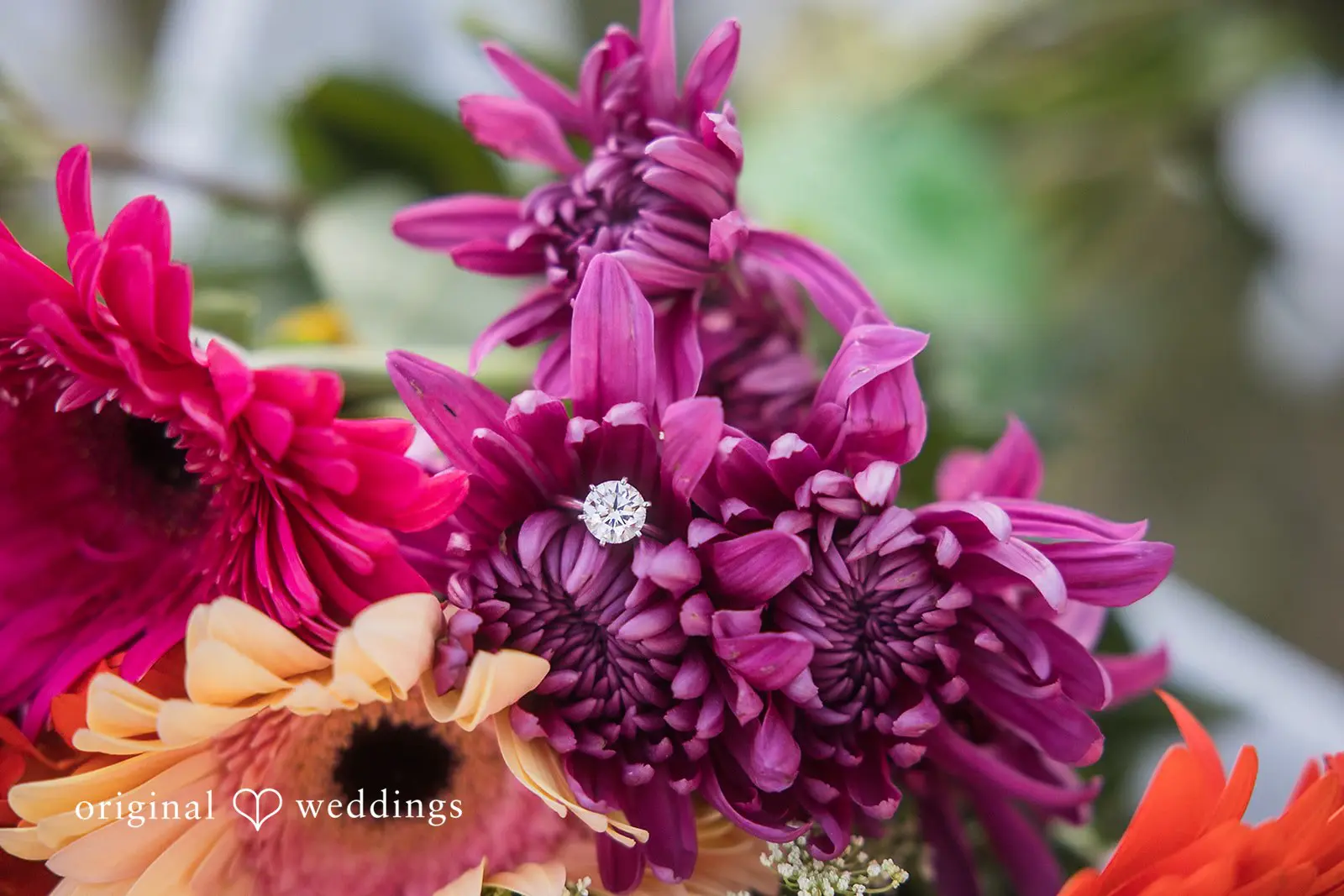 California Backyard Wedding // Waldo & Cynthia -