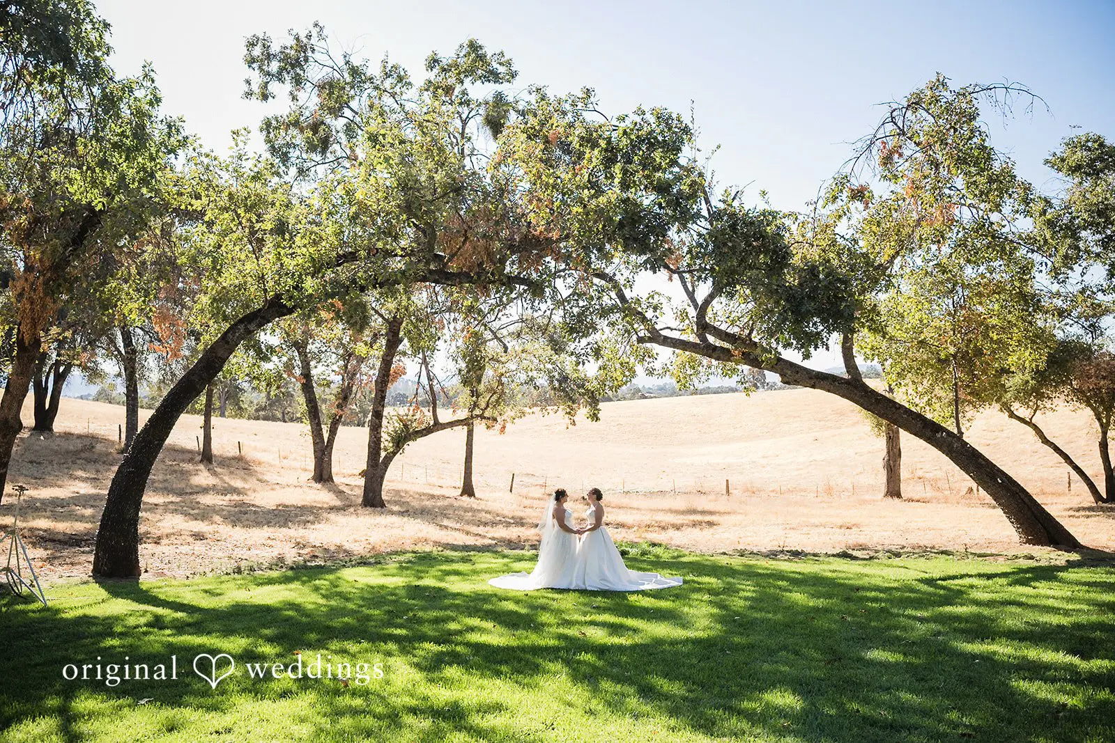 Brooke + Georgia California Backyard Wedding // Brooke & Georgia -