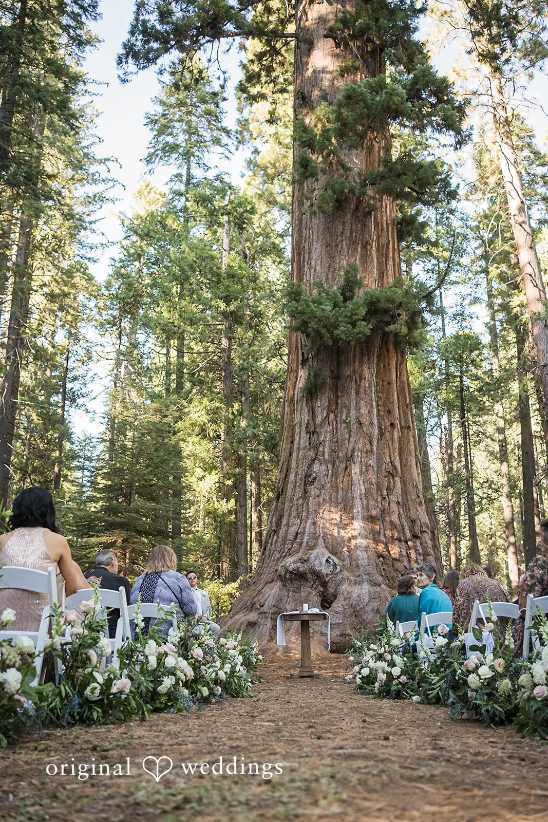 Brooke + Georgia California Backyard Wedding // Brooke & Georgia -