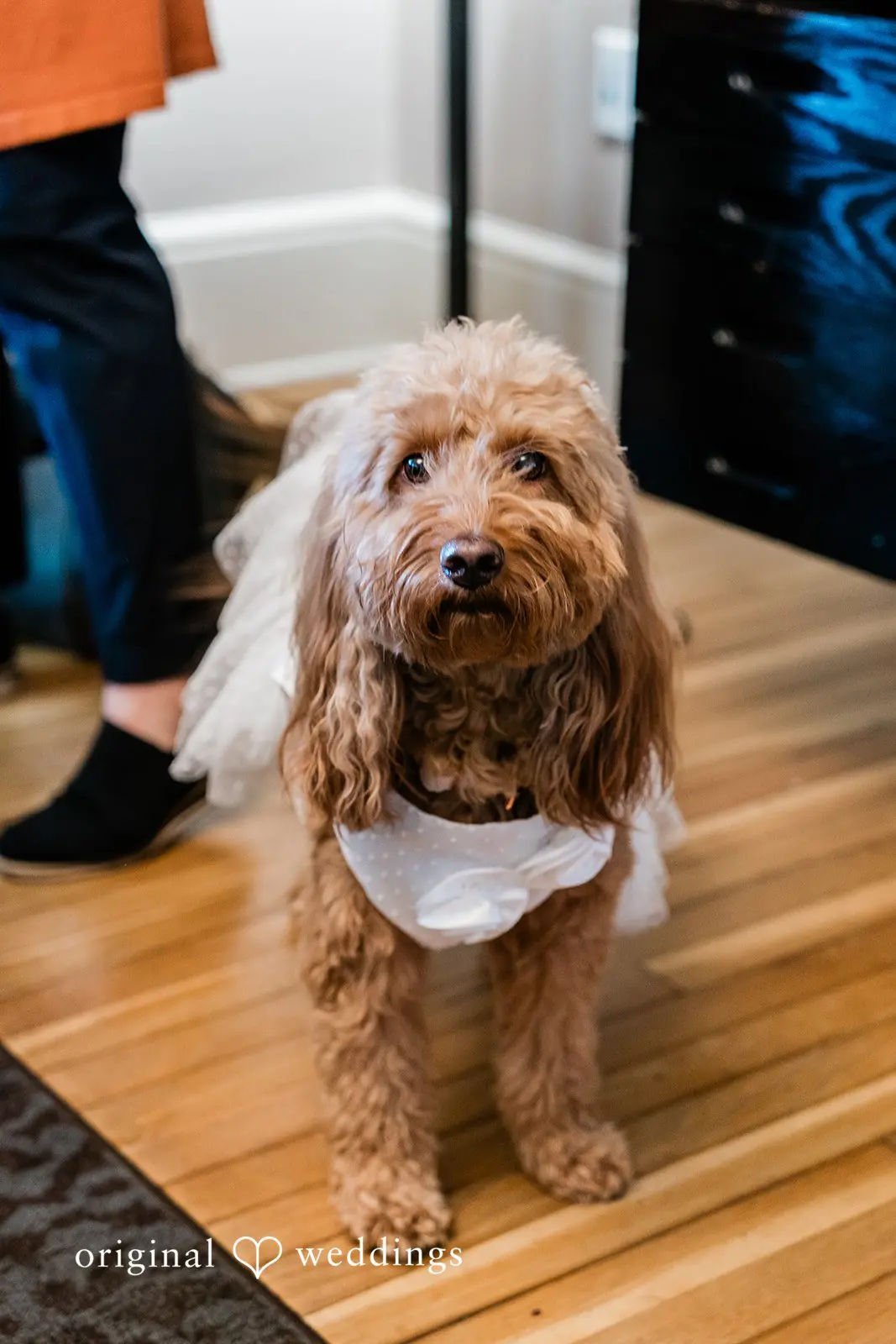 Chapel of Our Lady Wedding // Mary Antonette & Ruiqi -