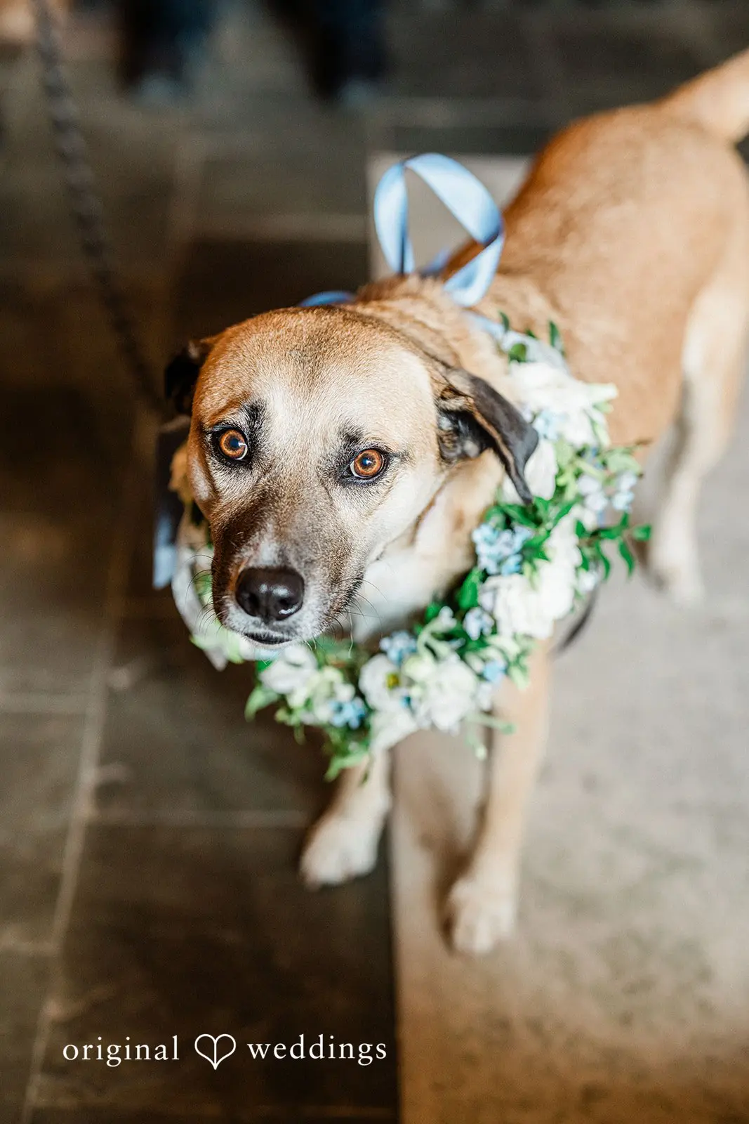 Angela + Connor Chateau Lill Wedding // Angela & Connor -
