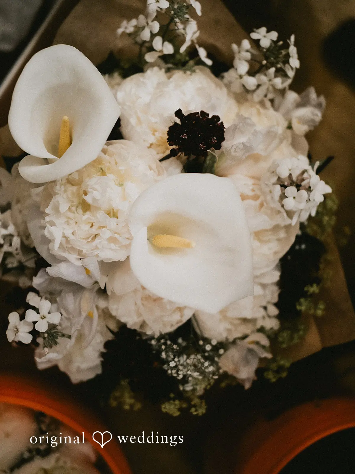 Breana + Jake City Farm Chehalis Wedding // Breana & Jake -