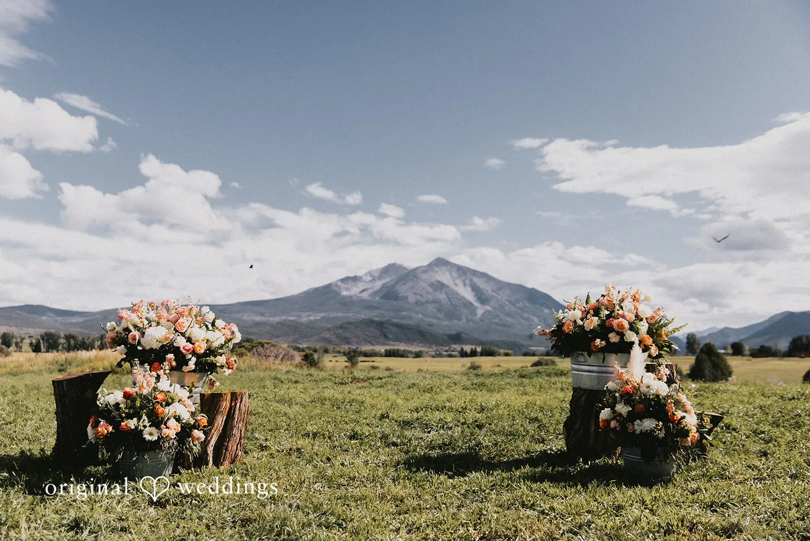 Madeleine + Cody Colorado Backyard Wedding // Madeleine & Cody -