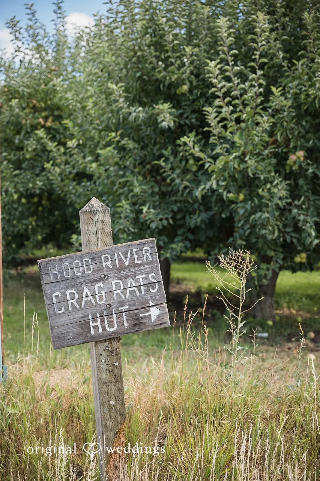 Emma + Brady Crag Rat Hut Wedding // Emma & Brady -