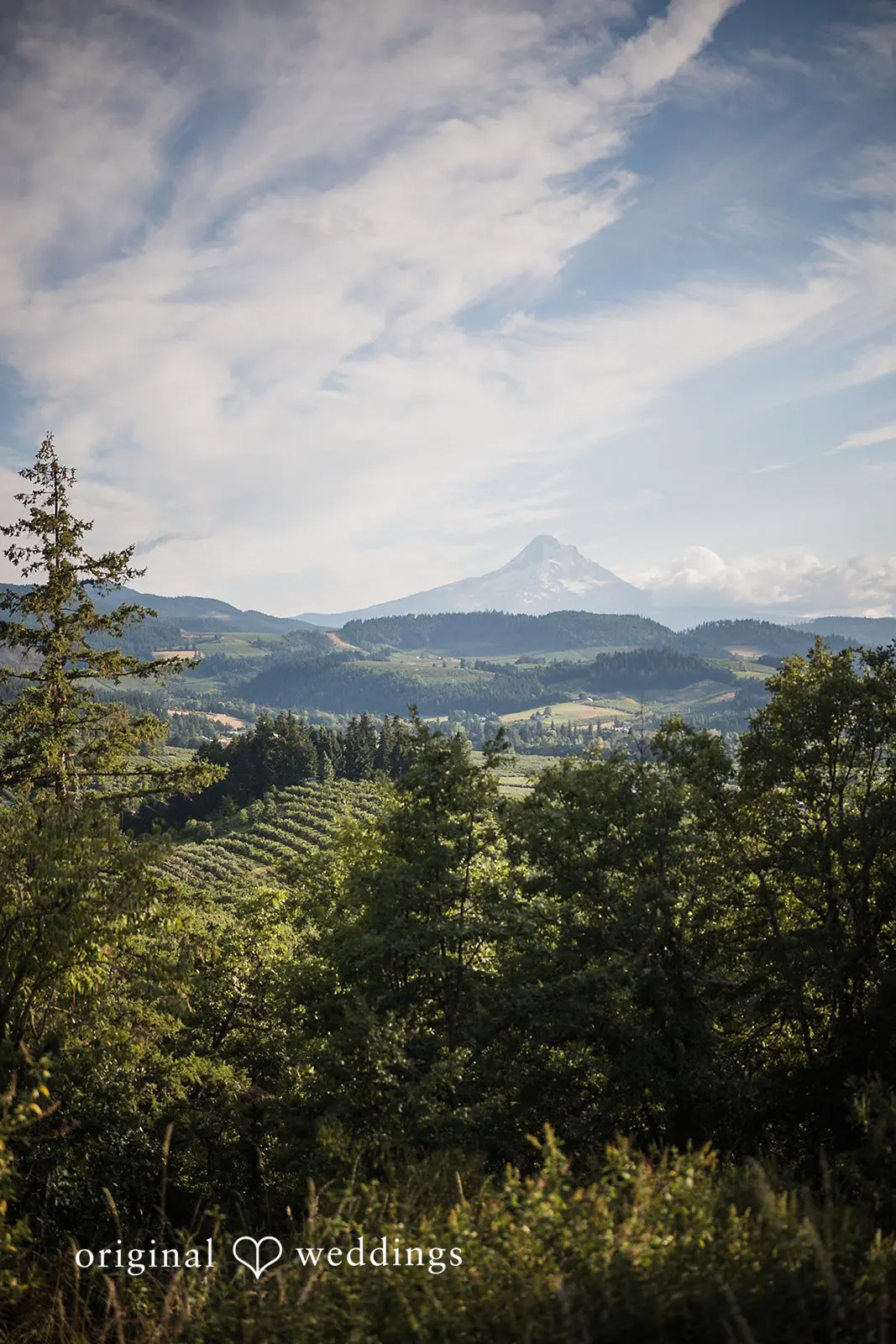 Emma + Brady Crag Rat Hut Wedding // Emma & Brady -