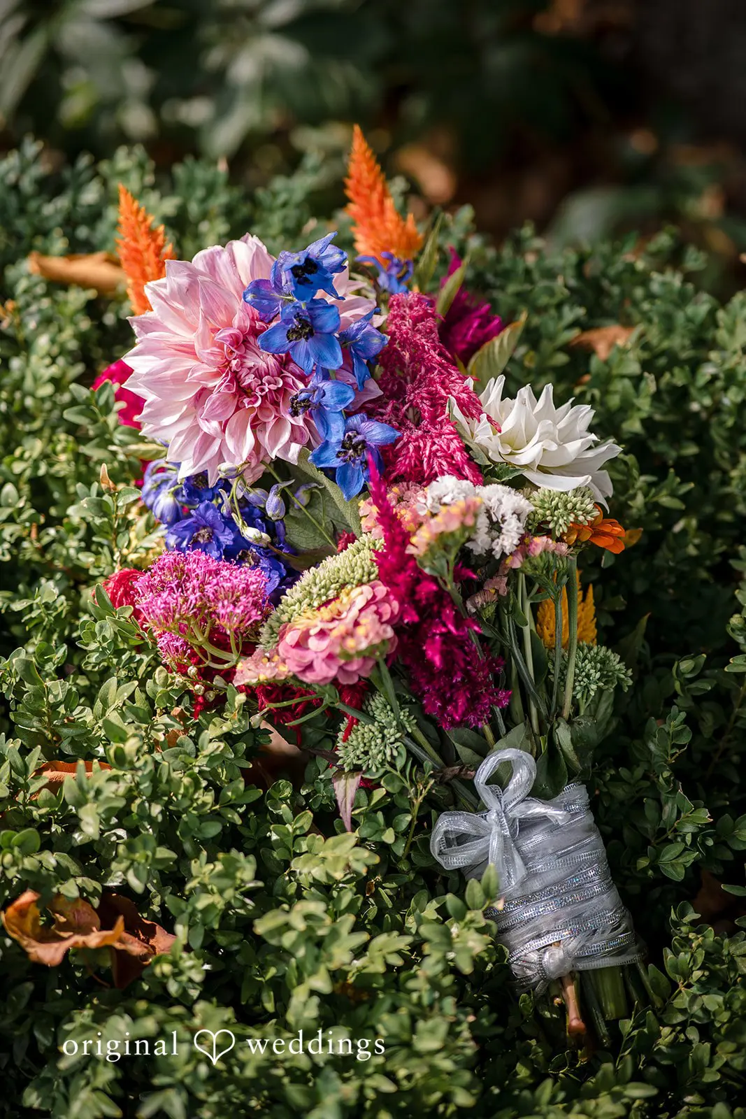 Lelia + Nathan Deepwood Museum and Gardens Wedding // Lelia & Nathan -