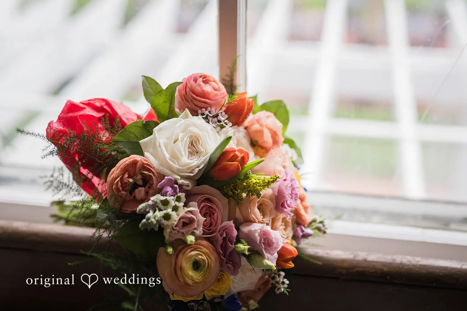 Defiance Ridge Vineyards Wedding // Gabriella & Ethan -