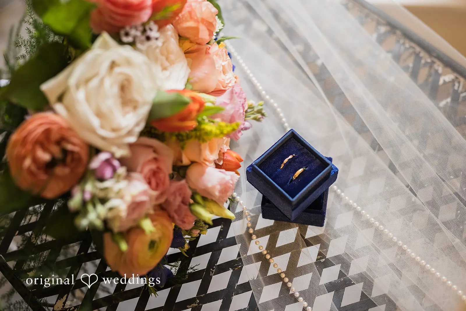 Defiance Ridge Vineyards Wedding // Gabriella & Ethan -