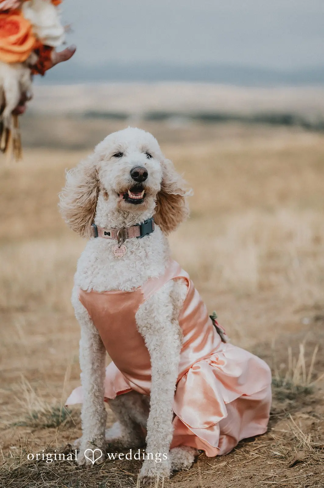 Day Off Ranch Wedding // Kinley & Connor -