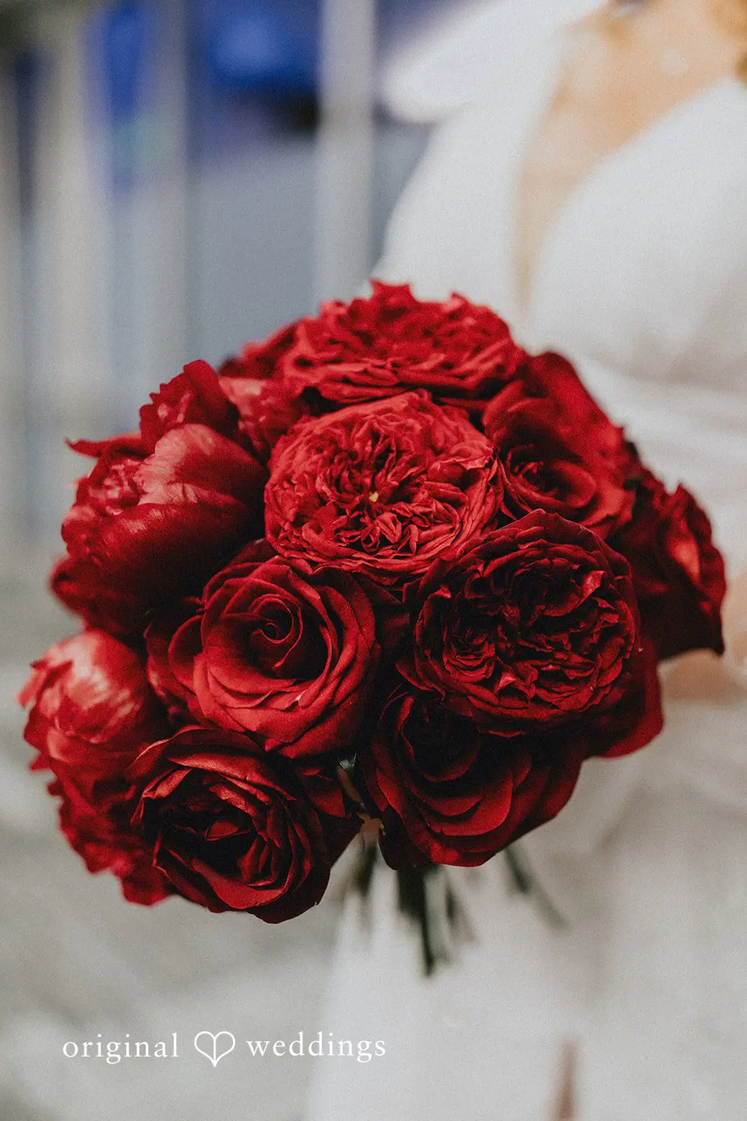 James + Rosa Destination Lounge Wedding // James & Rosa -