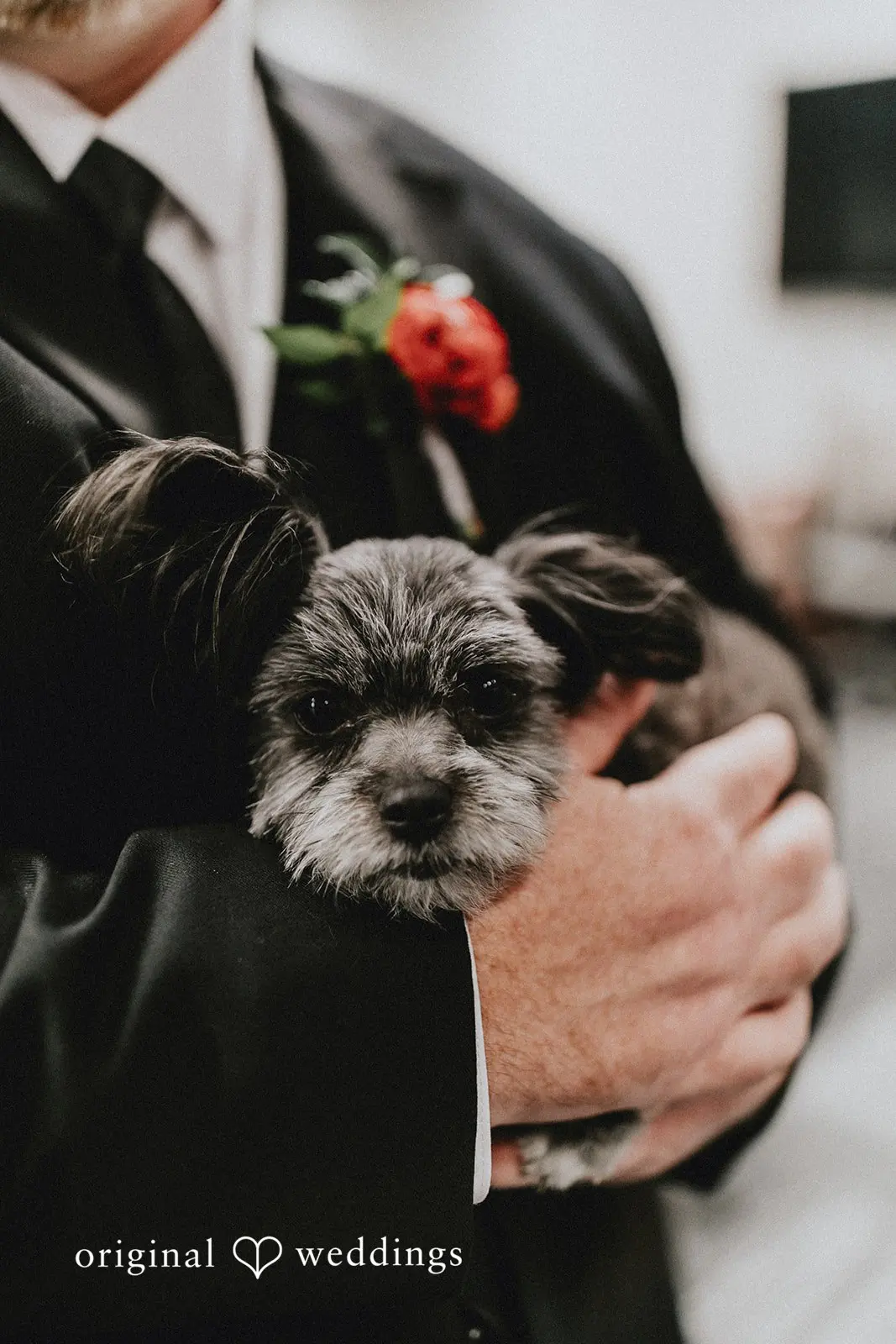 James + Rosa Destination Lounge Wedding // James & Rosa -