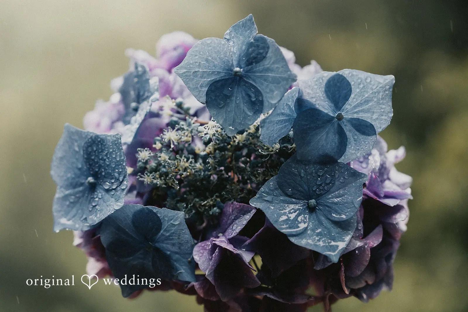 Anna + Thomas Devils Lake Wedding // Anna & Thomas -