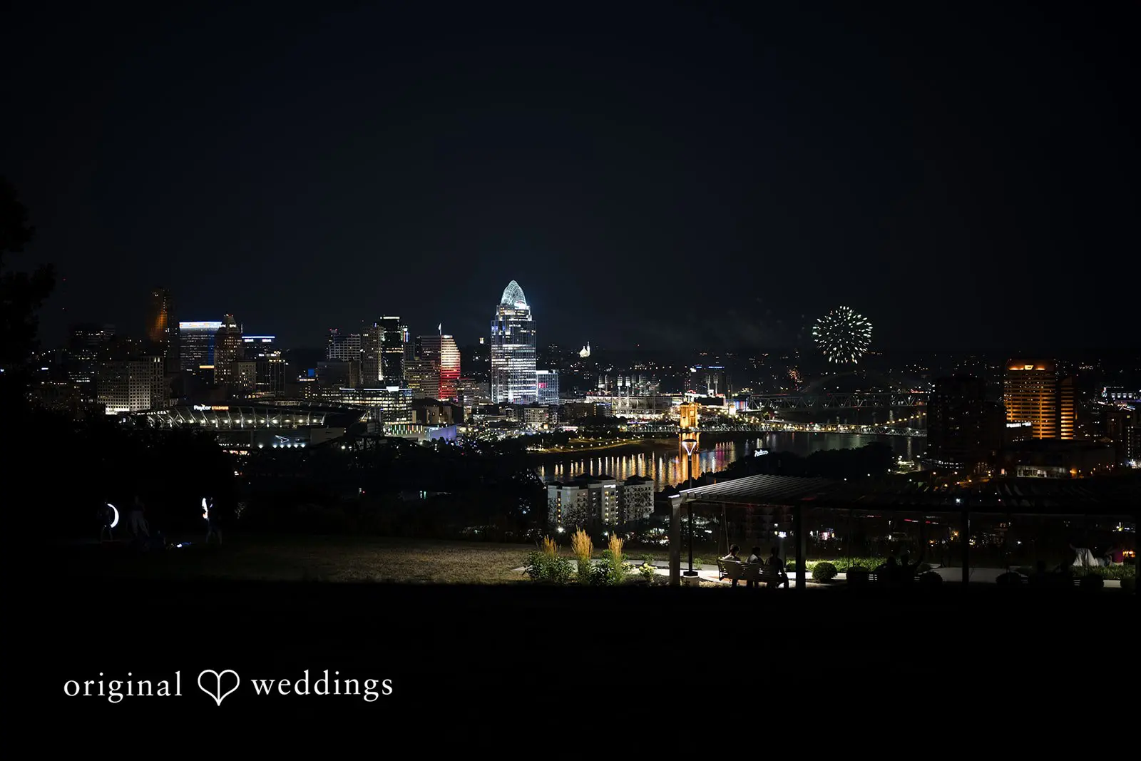 Nicole + Adam Drees Pavilion Wedding // Nicole & Adam -