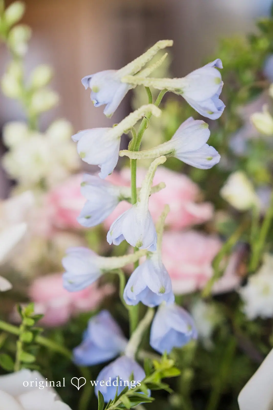 Spencer + Davina Eagle Ridge Wedding // Spencer & Davina -