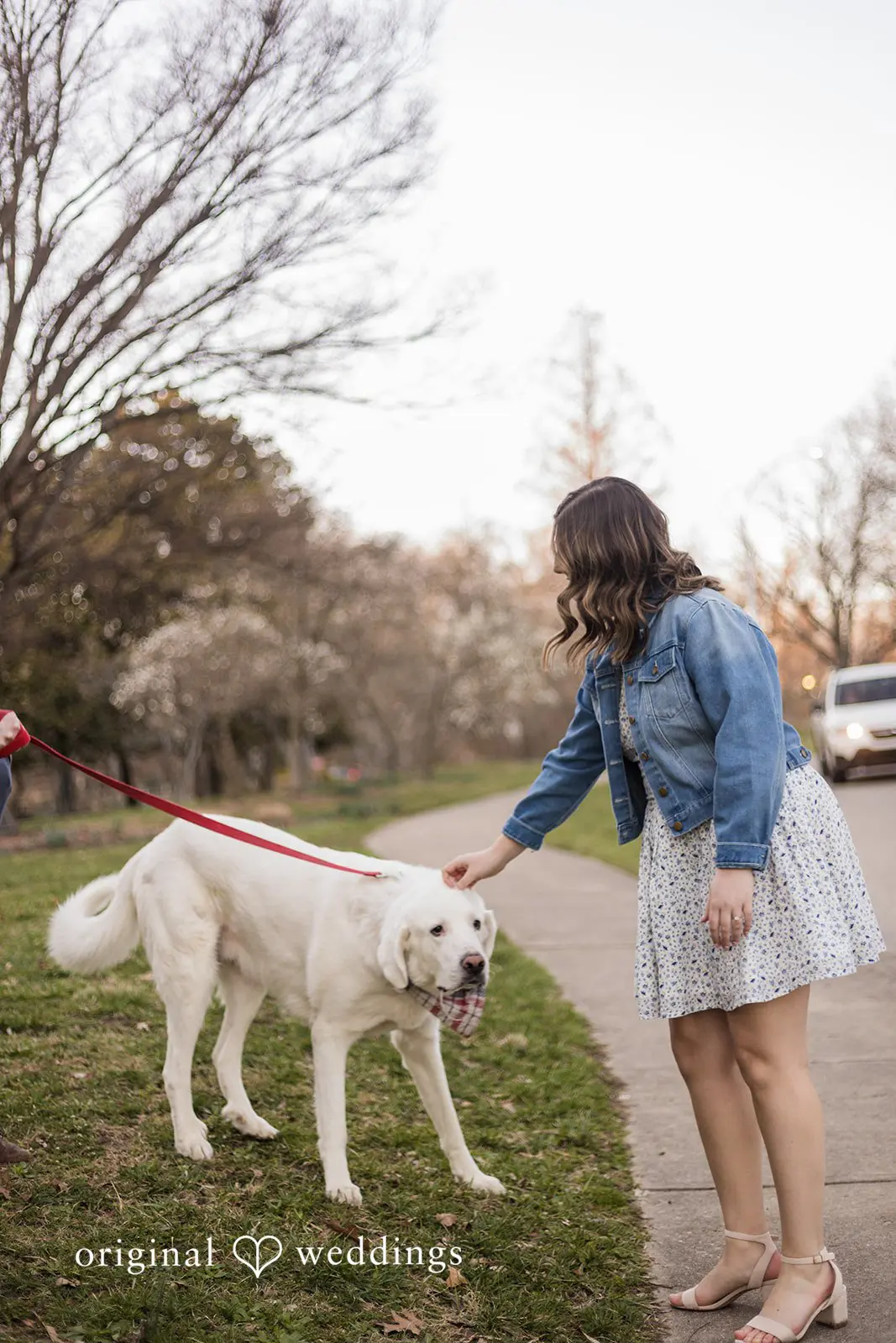 Lauren + Christopher Eden Park Engagement // Lauren & Christopher -
