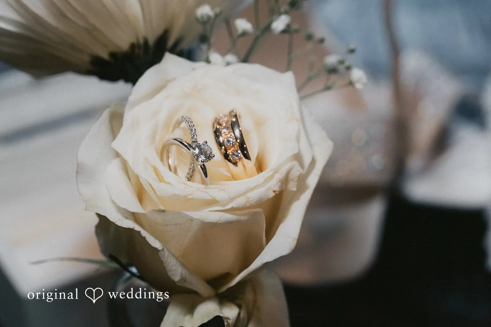 Emily + Robert Edlynn Farm Wedding // Emily & Robert -