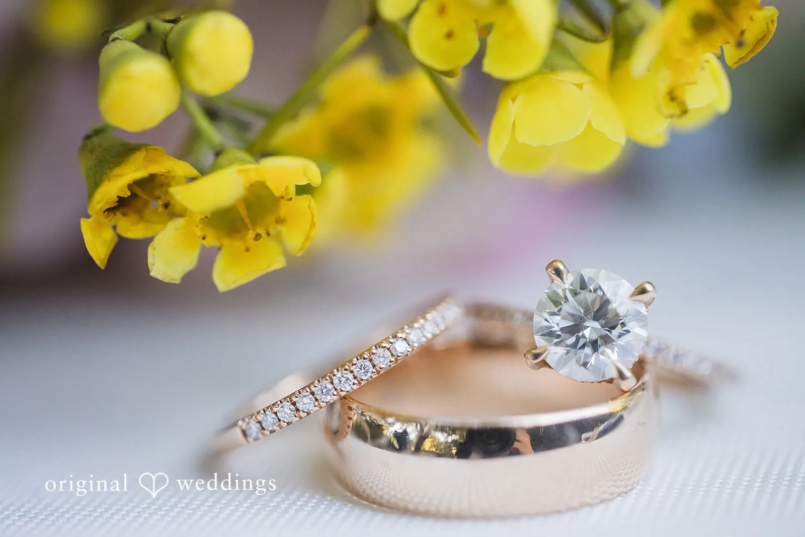 Joseph + Charlotte Elizabeth F. Gamble Garden Wedding // Joseph & Charlotte -