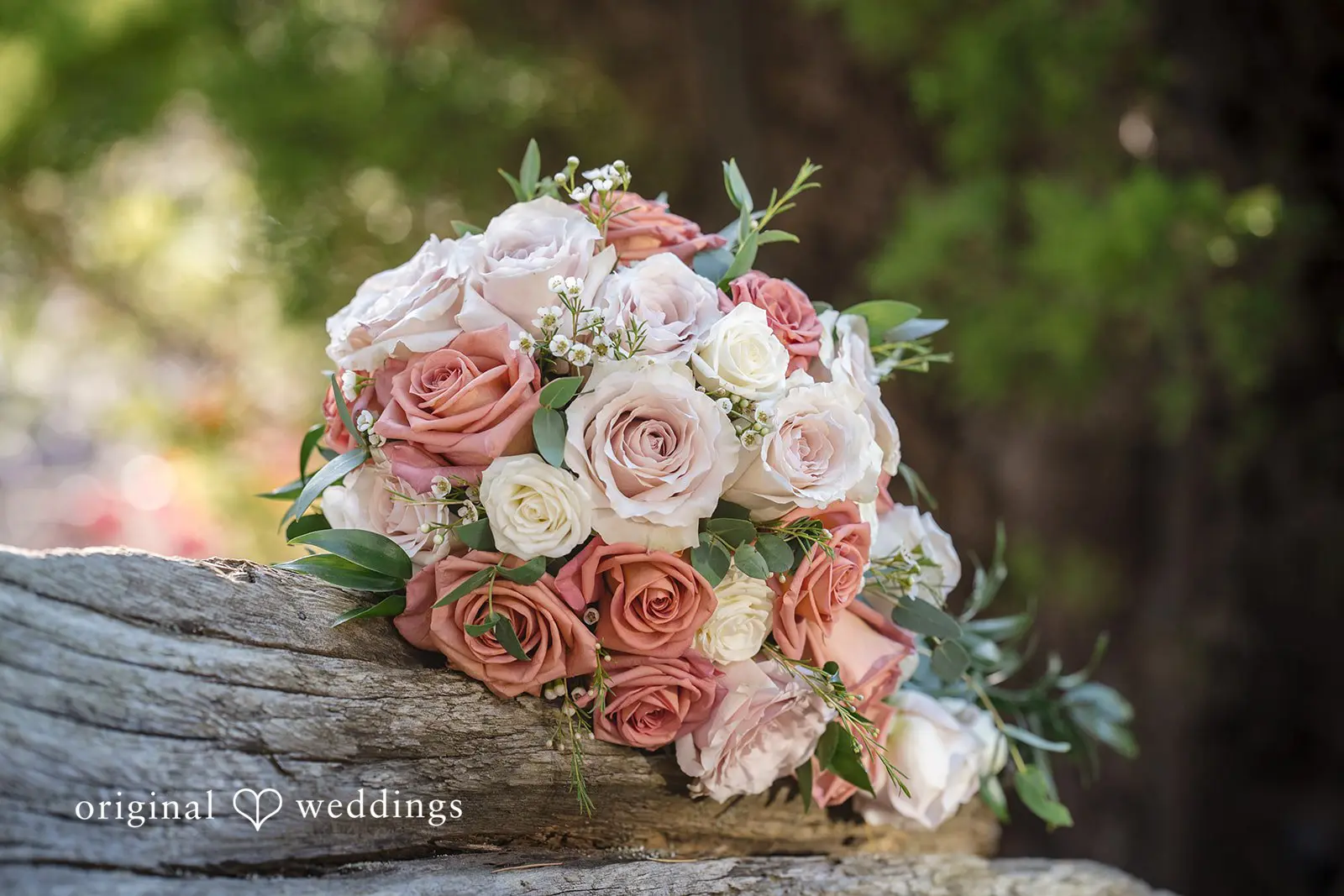 Environmental Services Building Wedding // Valerie & Charles -