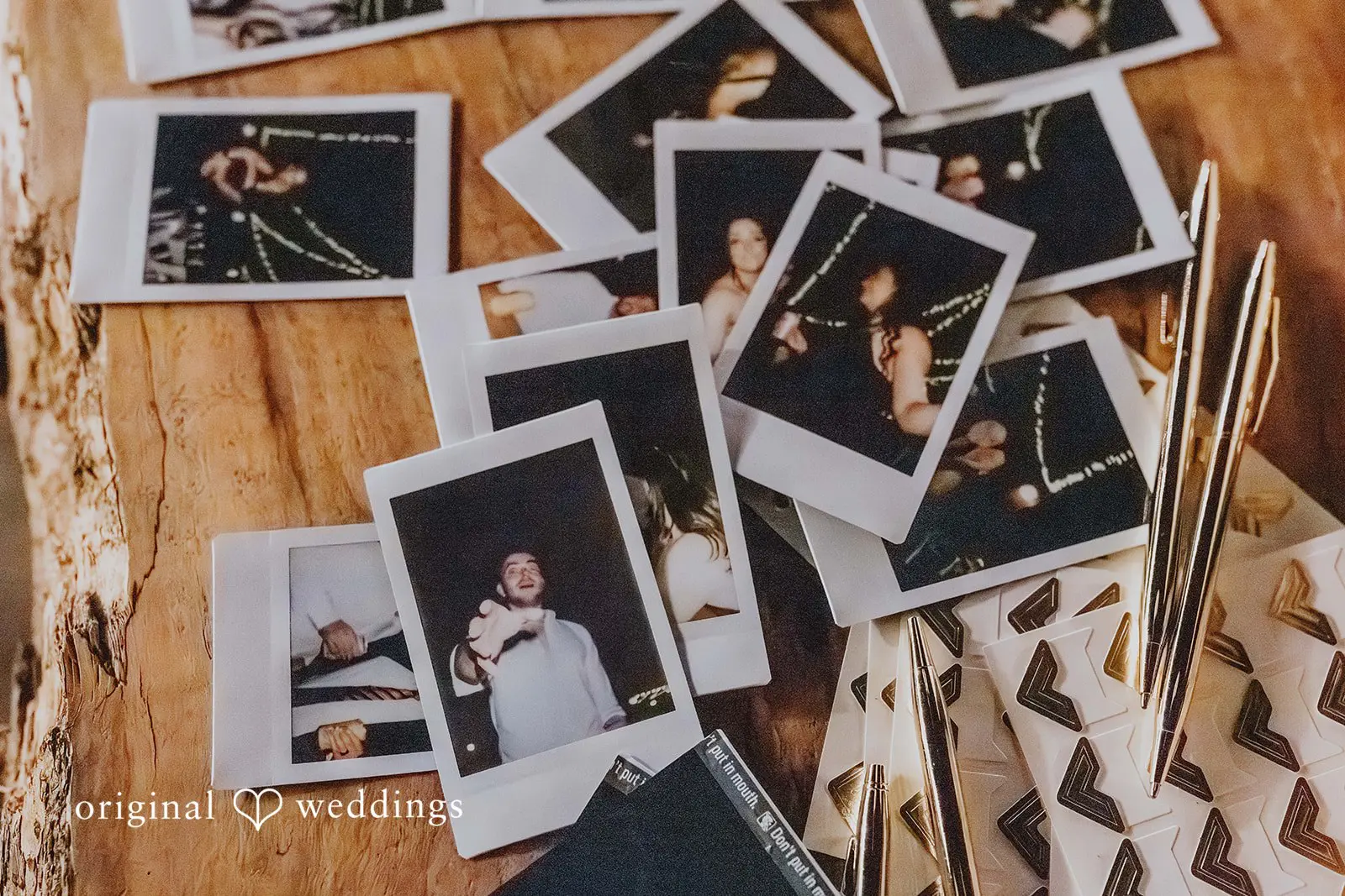 Cody + Tessa Evergreen Gardens Wedding // Cody & Tessa -